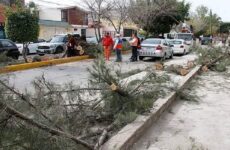 Con daños, 18 escuelas por fuertes vientos