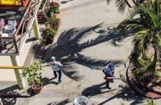 Se disparan los casos de dengue en Guerrero