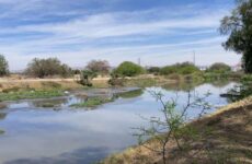 Reporta Galindo “rebote” de aguas negras de Tanque Tenorio