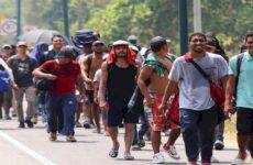 Rescatados 738 migrantes en lo que va del 2024