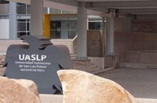 Suspensión de director en la UASLP, por acusaciones similares al acoso sexual